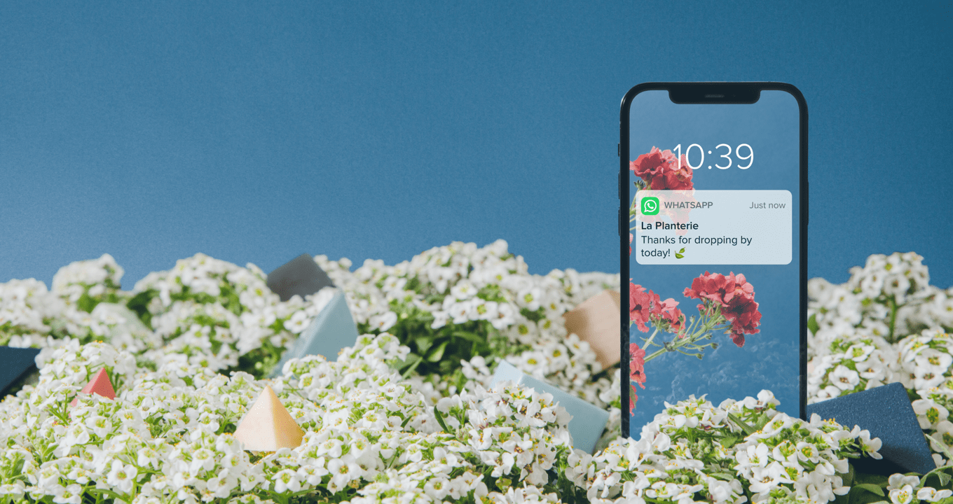 Illustration représentant un smartphone avec une notification WhatsApp d’une enseigne nommée La Planterie, remerciant le client pour sa visite, avec des fleurs blanches et un fond bleu en arrière-plan.