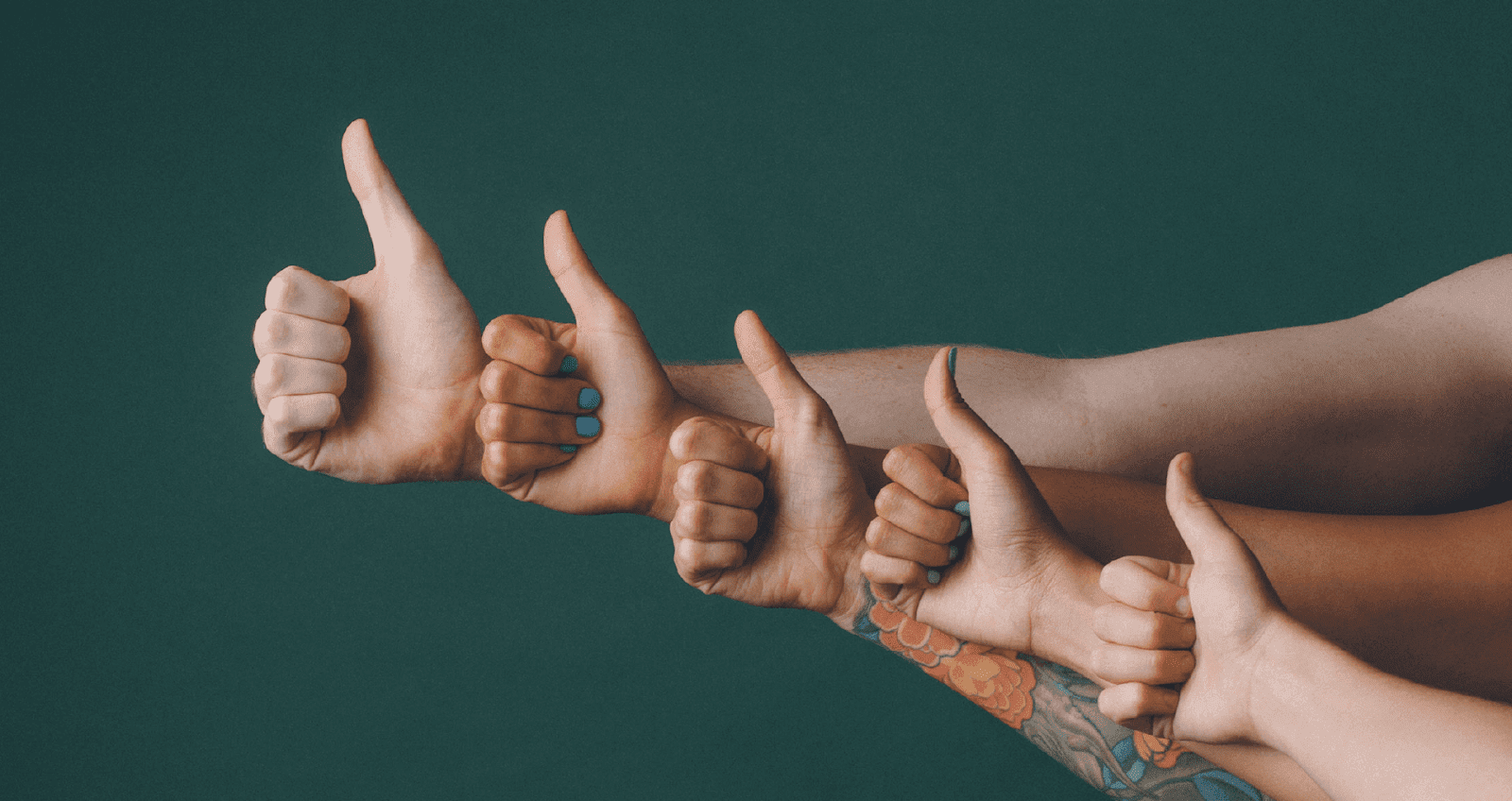 programma di fidelizzazione dei clienti